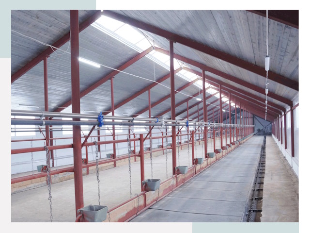 Строительство коровников в Иваново от 620 руб.