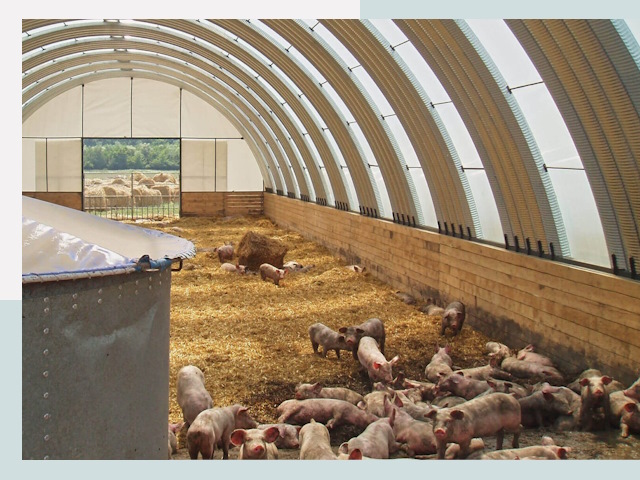 Строительство свинарников в Иваново