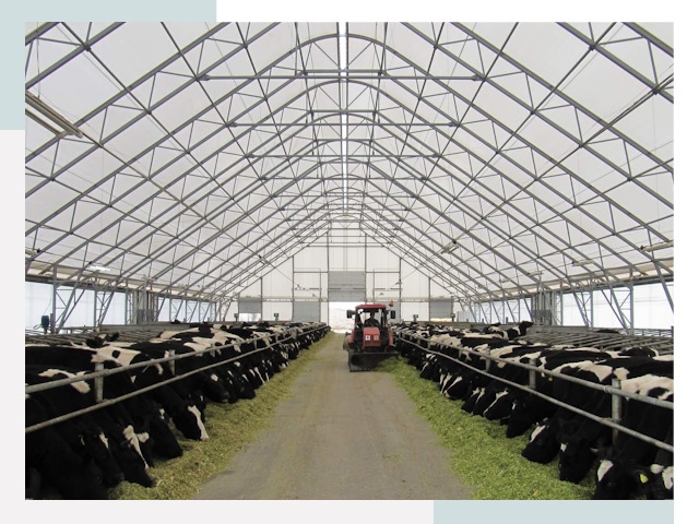 Тентовые коровники в Иваново от 620 руб. - Надежно и доступно