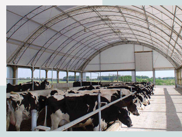 Тентовые коровники в Иваново